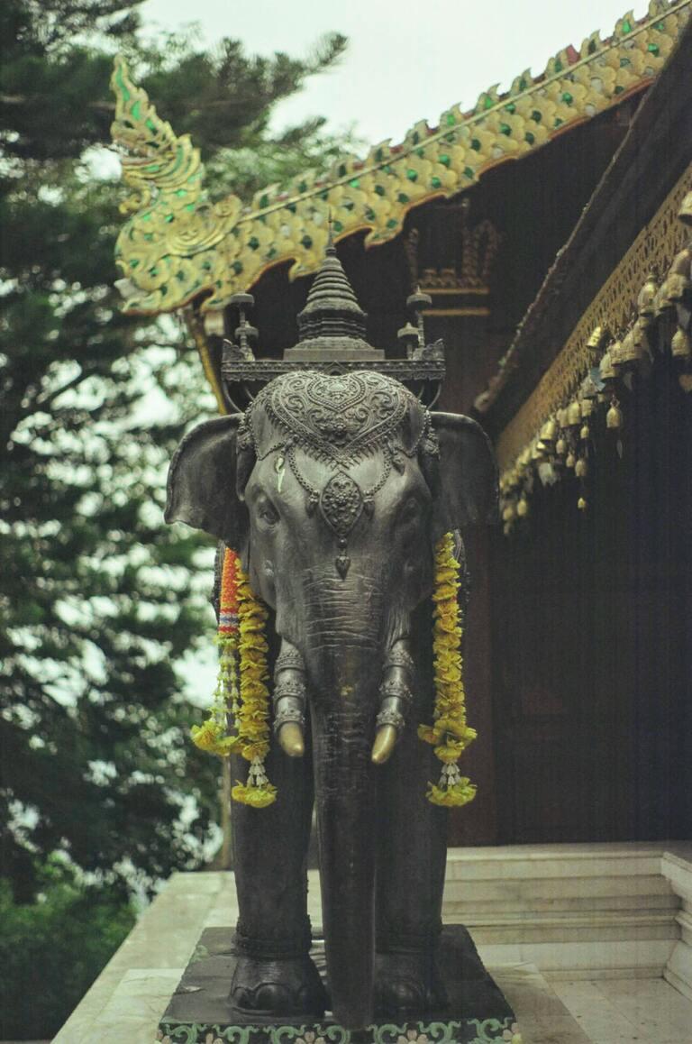 Elepfant im Doi Suthep Tempel