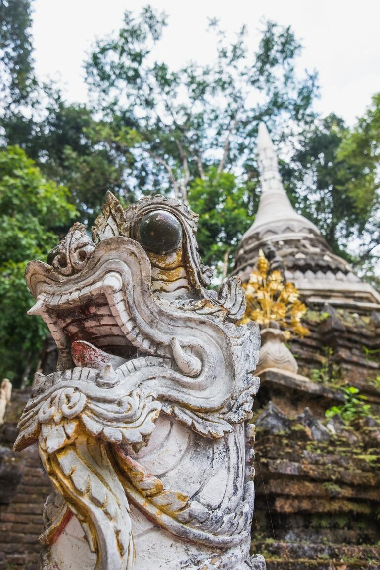 Hike zum Wat Pha Lat Tempel in Chiang Mai