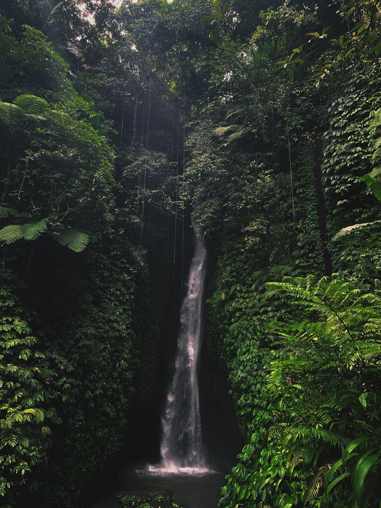Wasserfall im Dschungel auf Bali in Ubud