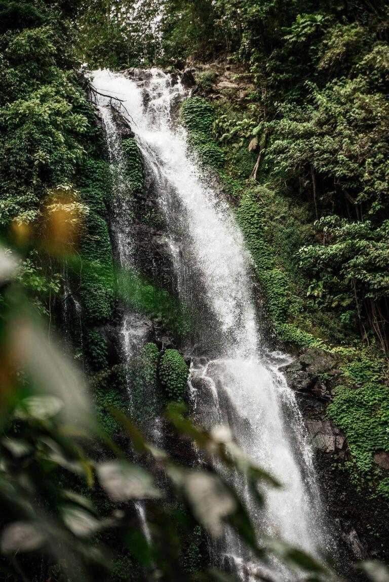 Wasserfall auf Bali im Dschungel